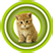 Cat_Sound_[Java.UZ]